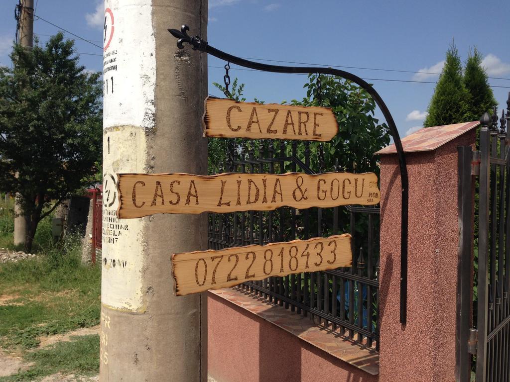 Hotel Casa Lidia Si Gogu Budeasa Mare Esterno foto