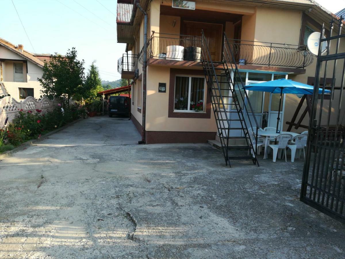 Hotel Casa Lidia Si Gogu Budeasa Mare Esterno foto